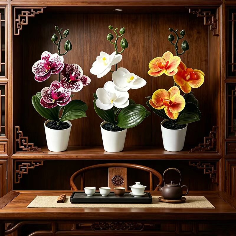 Mini Butterfly Orchid Potted P - Badminton Live ulasan dan harga
