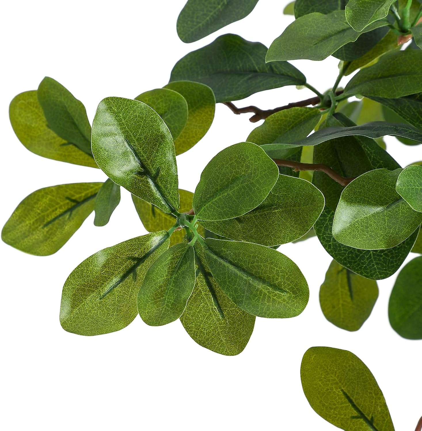 Artificial Plants Indoor, 5/6  - Badminton Live ulasan dan harga