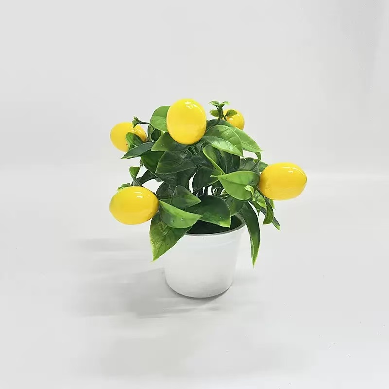 Creative Artificial Fruit Bons - Badminton Live ulasan dan harga